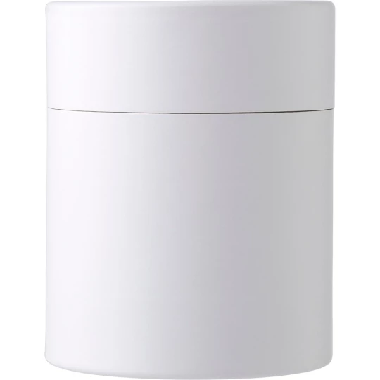 Scented candle (V1196-06)-1