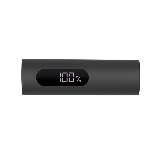 Power bank 10000 mAh | Walt (V1379-15)-1