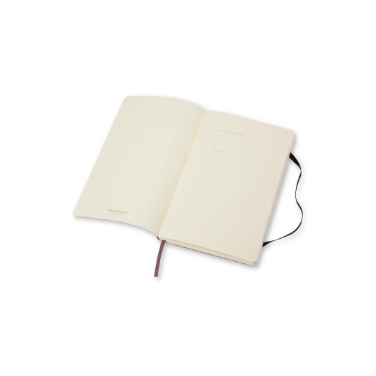 MOLESKINE Notatnik ok. A6 (VM208-03)-1