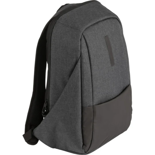 Laptop backpack (V0562-03)-1