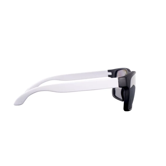 Sunglasses (V7326-02)-1