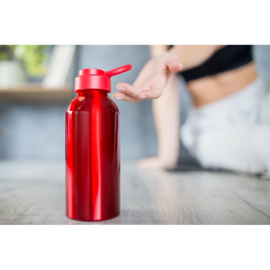 Sportflasche 585 ml | Pravleen (VA103-05)-1