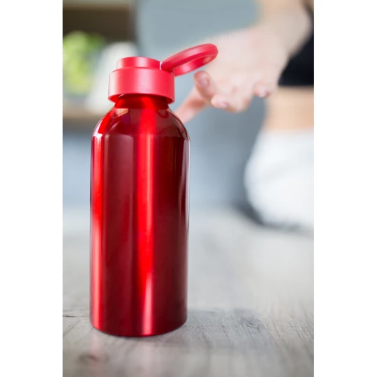Sportflasche 585 ml | Pravleen (VA103-05)-1