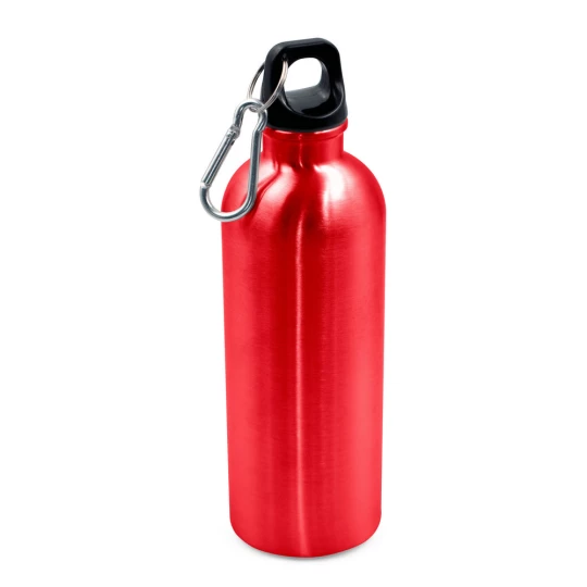 Sports bottle 500 ml with carabiner clip | Brenda (VA099-05)-1