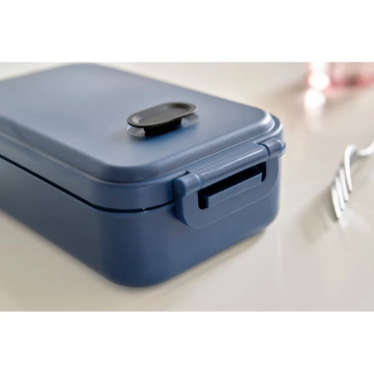 Lunch box (VA869-11)-1