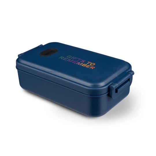 Lunch box (VA869-11)-1