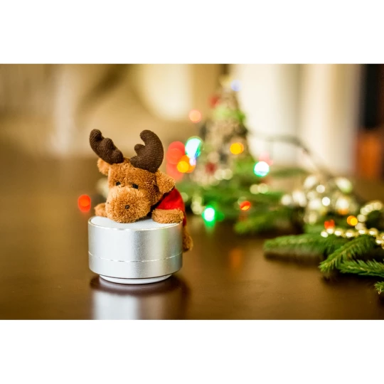 Wireless Lautsprecher, Radio | Silas (V3879/W-24)-1