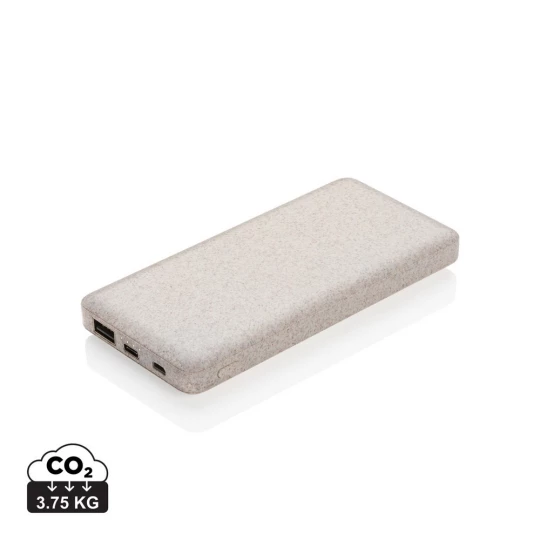 Power bank 10000 mAh (P322.299)-1