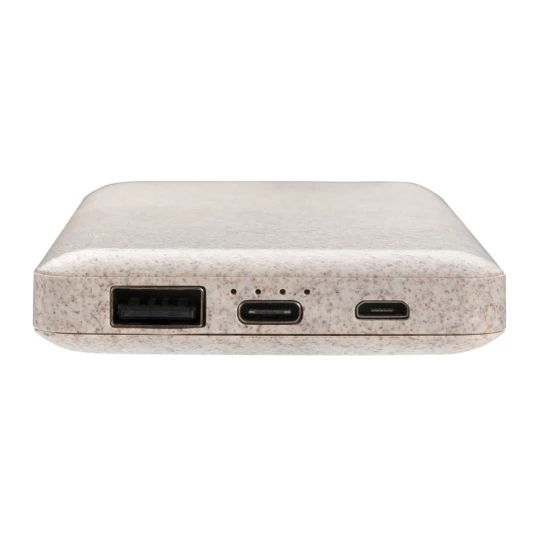 Power bank 10000 mAh (P322.299)-1