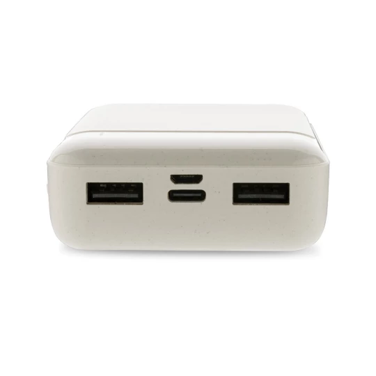 Power bank 10000 mAh (P322.663)-1