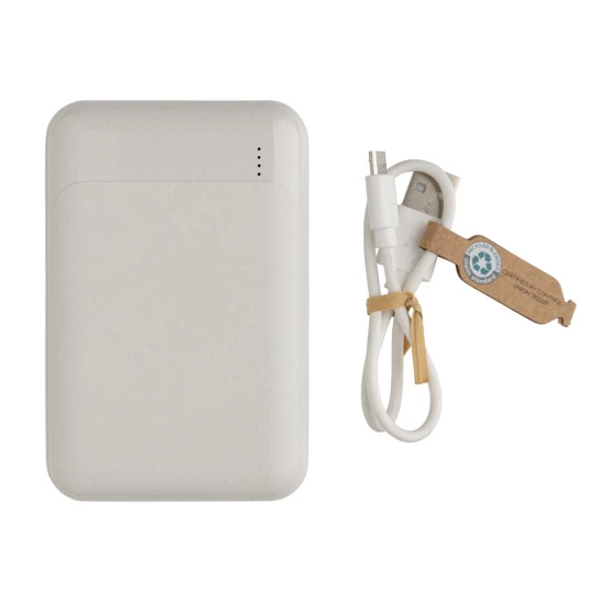Power bank 10000 mAh (P322.663)-1