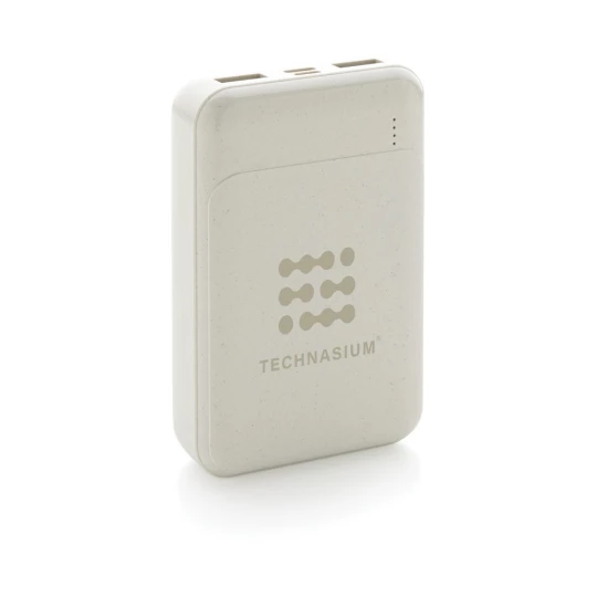 Power bank 10000 mAh (P322.663)-1