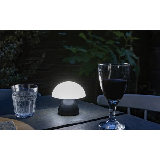 Lampka na biurko Luming, plastik z recyklingu (P513.741)-1
