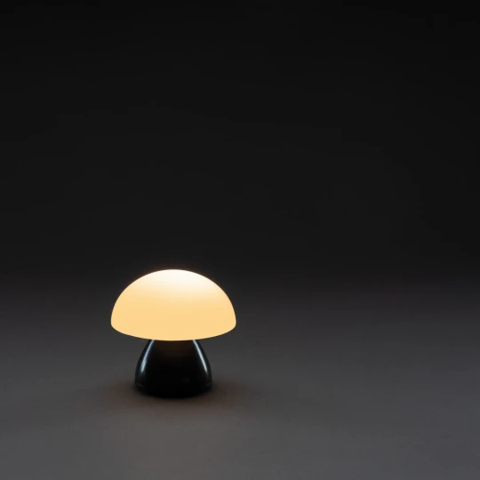 Lampka na biurko Luming, plastik z recyklingu (P513.741)-1