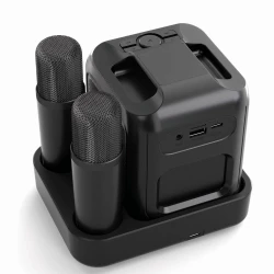 Zestaw do karaoke Singvibe, głośnik bezprzewodowy i dwa mikrofony (P331.0601)-16