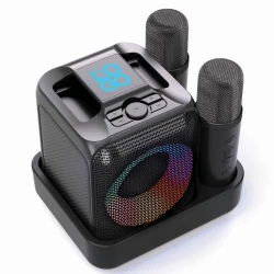 Zestaw do karaoke Singvibe, głośnik bezprzewodowy i dwa mikrofony (P331.0601)-18