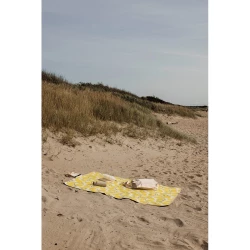 Koc piknikowy VINGA Arwe GRS (VG632-08)-5