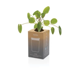 Kubek termiczny 300 ml Avira Alya (P438.029)-14