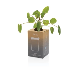 Kubek termiczny 300 ml Avira Alya (P438.028)-15