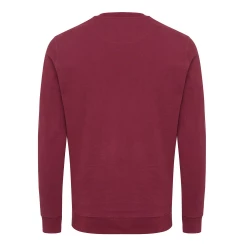 Bluza z bawełny z recyklingu Iqoniq Zion (T9300.007.XL)-2