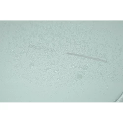 Bobby Edge plecak chroniący przed kieszonkowcami (P706.2507)-5
