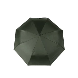 Parasol 21