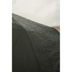 Parasol 21