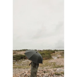 Parasol 23