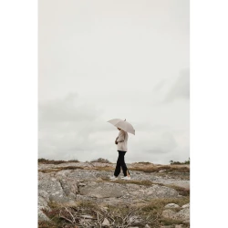 Parasol 23