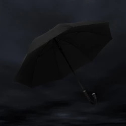 Parasol automatyczny 25