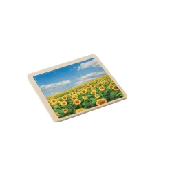 Puzzle (V8083-00)-8