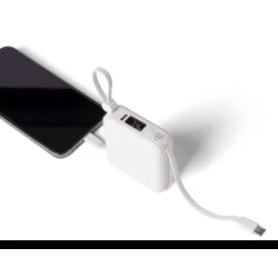 Powerbank 10000 mAh (VB100-02)-5