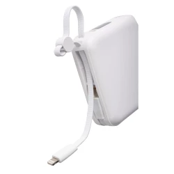 Powerbank 10000 mAh (VB100-02)-10