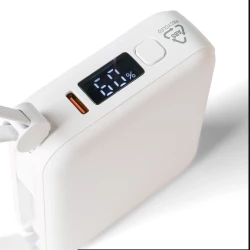 Powerbank 10000 mAh (VB100-02)-13