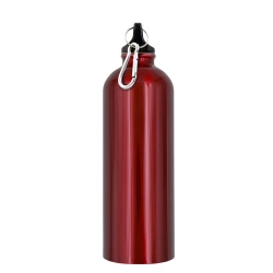 Butelka sportowa 750 ml z karabińczykiem | Laveriano (VA918-05)-3