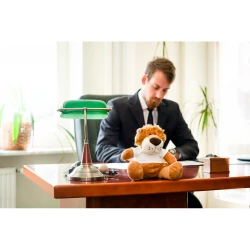 Plüsch Lion | Richard K (HE669-16)-2