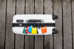 Luggage tag (V4172-02)-2