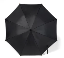 Regenschirm, automatisch (V4226-03)