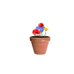 Wildflower seed ball (V7224-00)-6