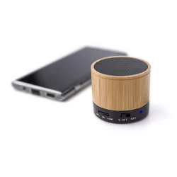 Bamboo wireless speaker (V8300-17)-2