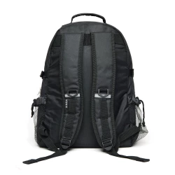 VINGA Parks cooler backpack (VG078-03)-2