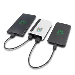 Power bank 10000 mAh | Dashonte (V1296-02)-6