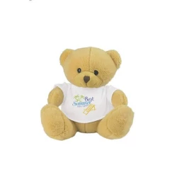 Teddybär mit T-Shirt | Nicky Honey (HE234-18)-7
