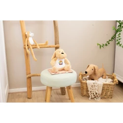 Plush dog (V1613-20)-5