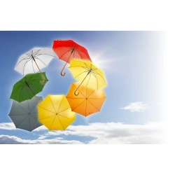 Automatic umbrella | Hayden (V4201-06)-6