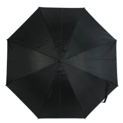 Regenschirm, automatisch (V4118-08)-3