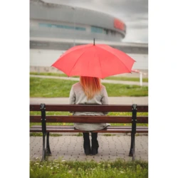 Regenschirm, automatisch | Dwight (V9852-04)-2