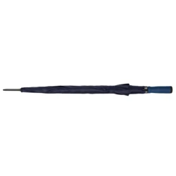Regenschirm, automatisch | Dwight (V9852-04)-3