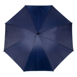 Regenschirm, automatisch | Dwight (V9852-04)-4