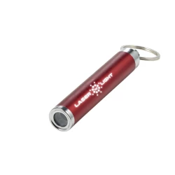 Brelok do kluczy, lampka LED (V0601-05)-6